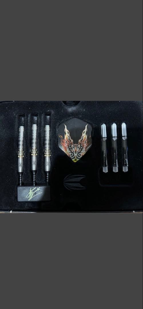 【廃盤激レア】ダーツ　TARGET PYRO ストレート　ターゲット　パイロ