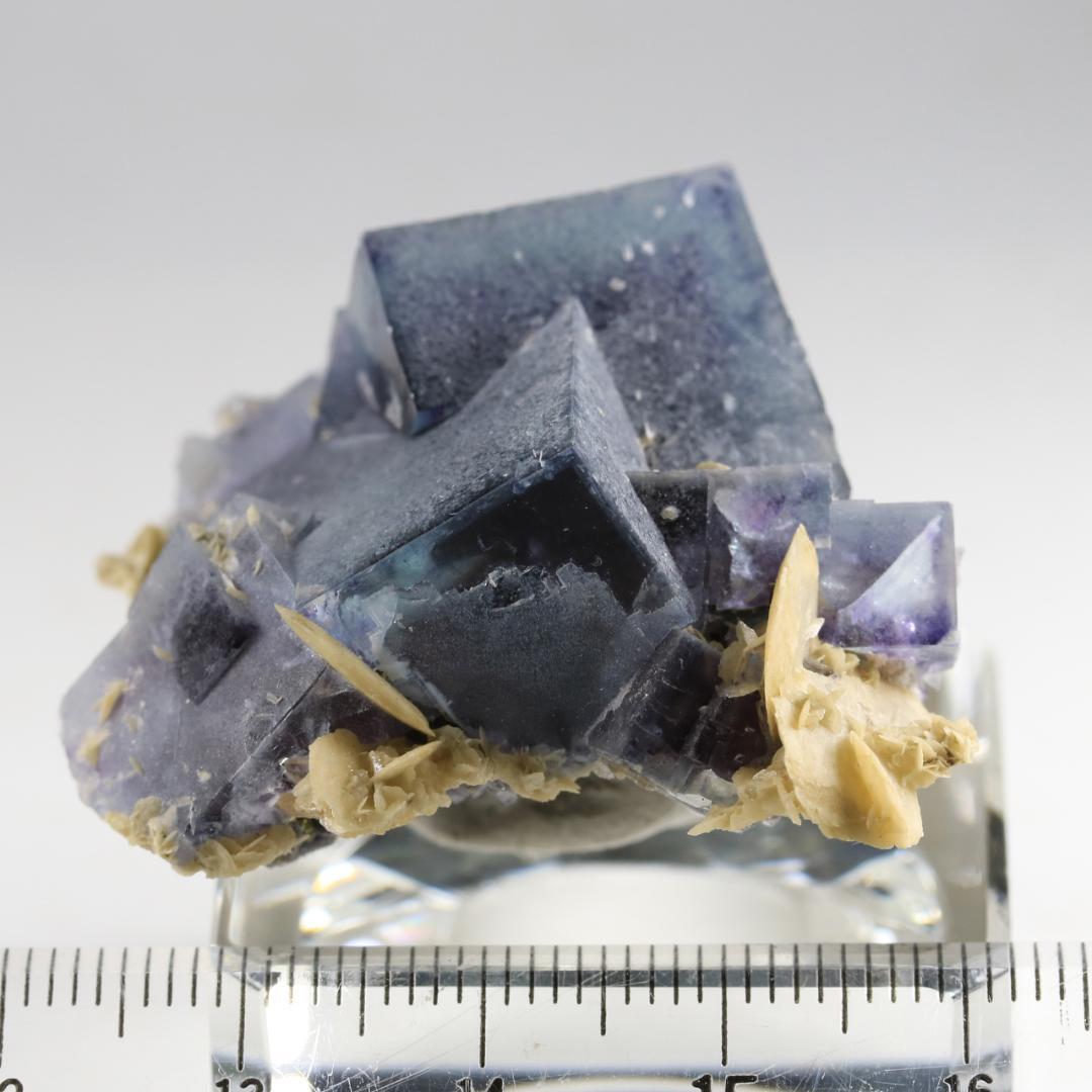 蛍石 フローライト 内モンゴル自治区産 【Im31】 鉱物標本 天然石 原石