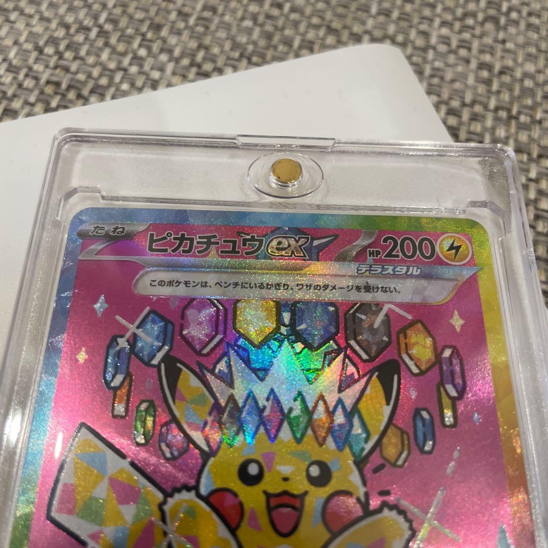 メガカイリュー & ピカチュウ sarセット