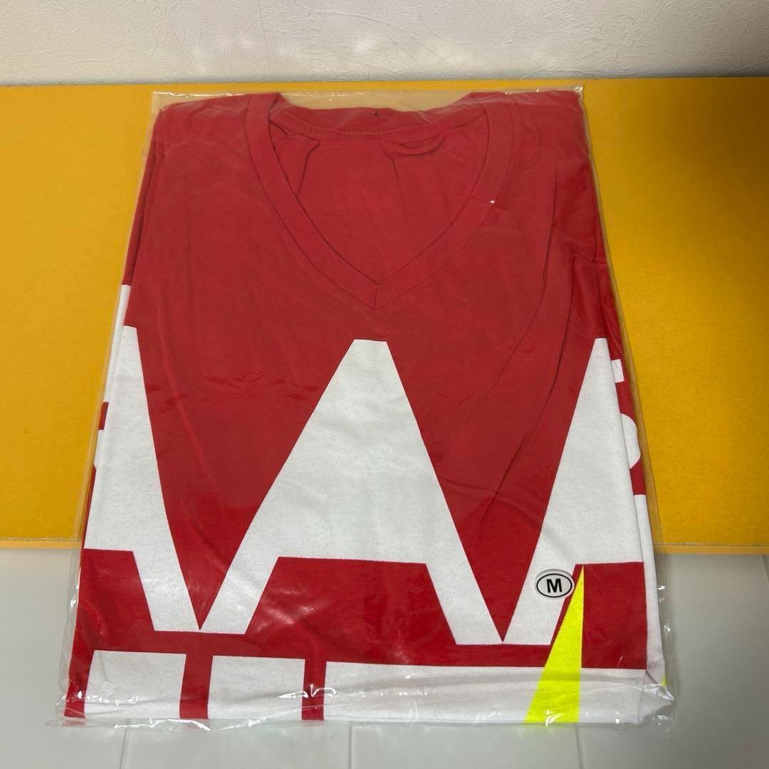 AAAグッズ 17点まとめ売り 「パンフ、ファイル、タオル、Tシャツ、他