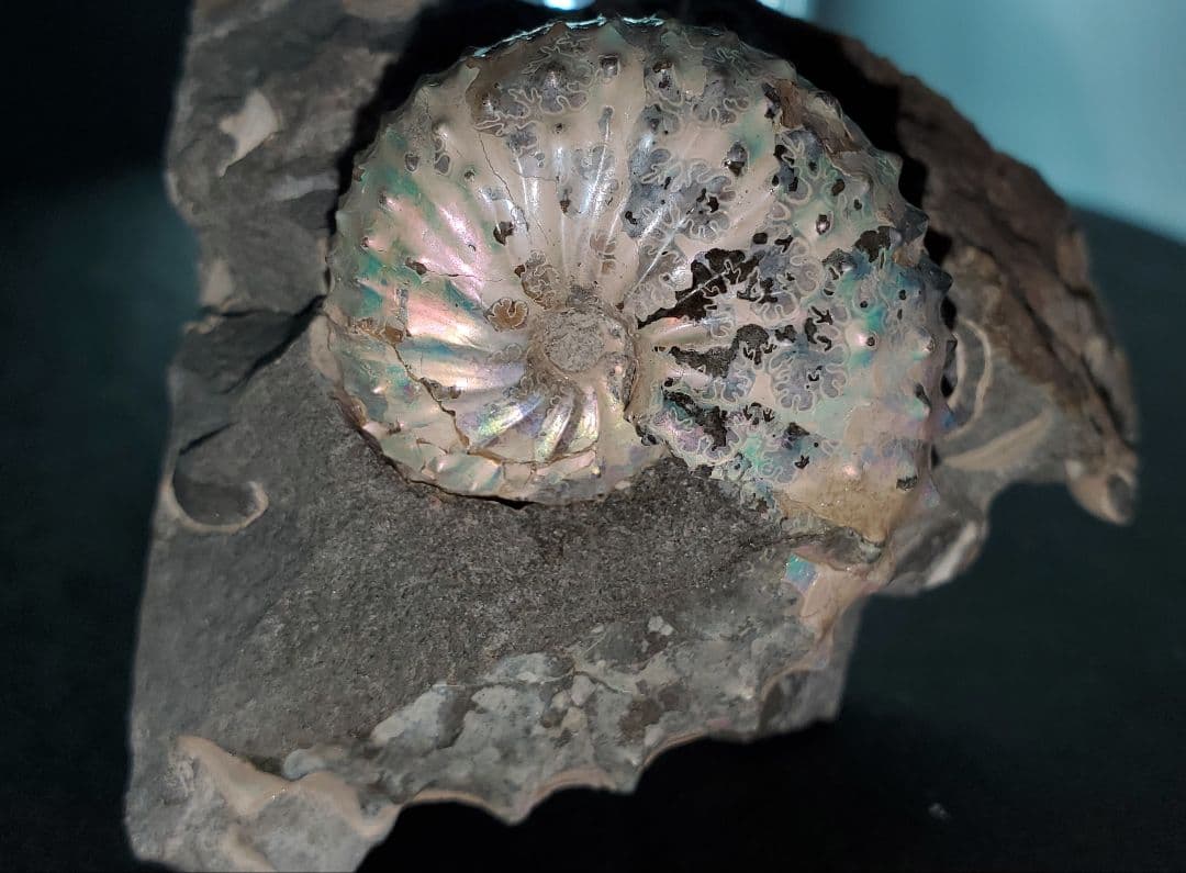 クリア度抜群 ピンクガーデンミニミニスフィア｜クリア度抜群ピンク