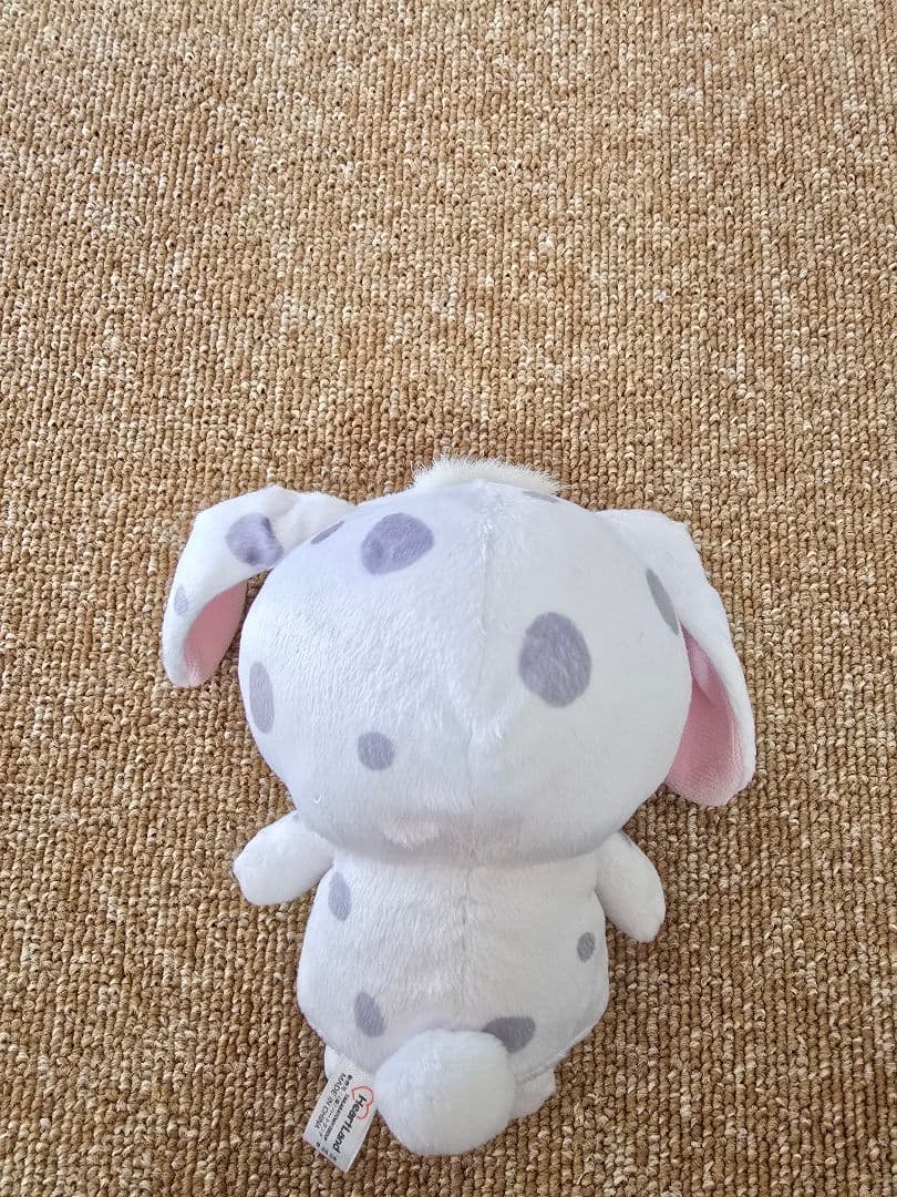 シュガーバニーズ 希少 ぶちうさ