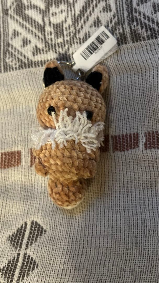 専用　ブイズ　ハワイ限定キーチェーン　イーブイ、ブースター