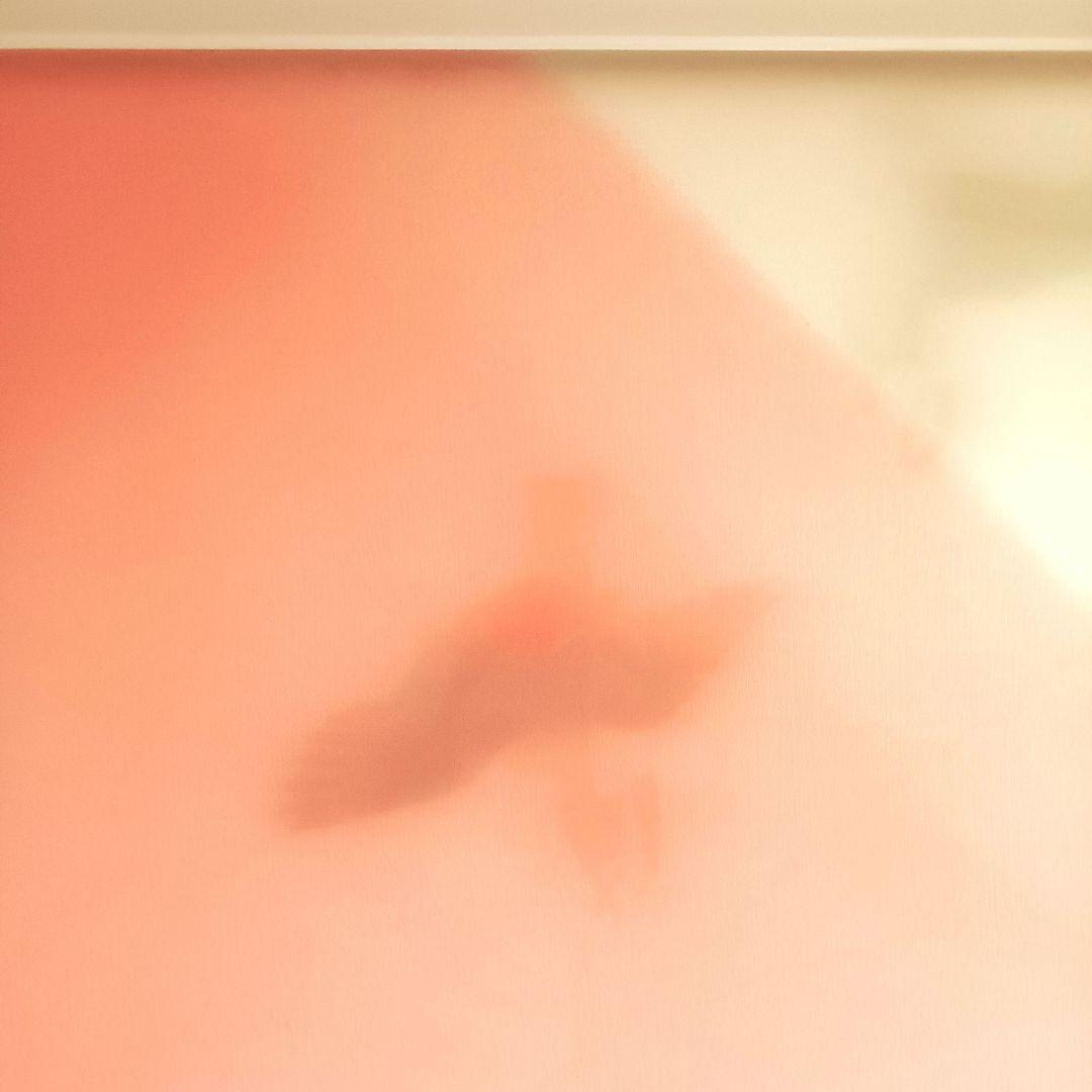 百貫華峰　百貫俊夫　風呂敷　おしどり