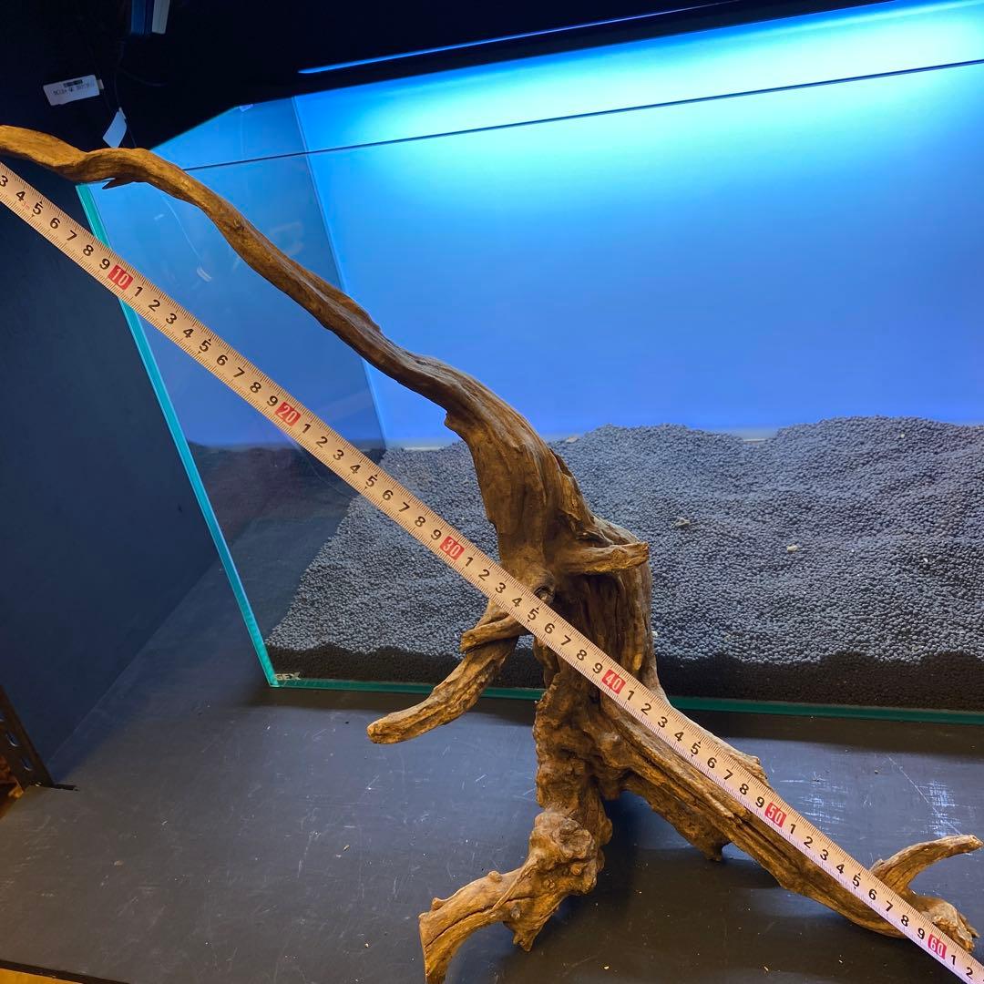 MSRW-6510 スリムウッド2本セット 60cm水槽用流木 アクアリウム