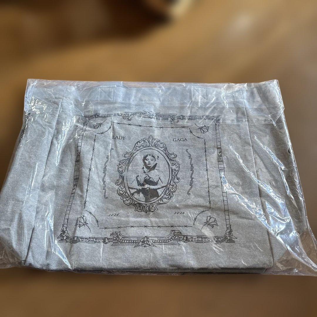 Accessories - Lady Gaga Gray Opera Haus Tote/lady gaga