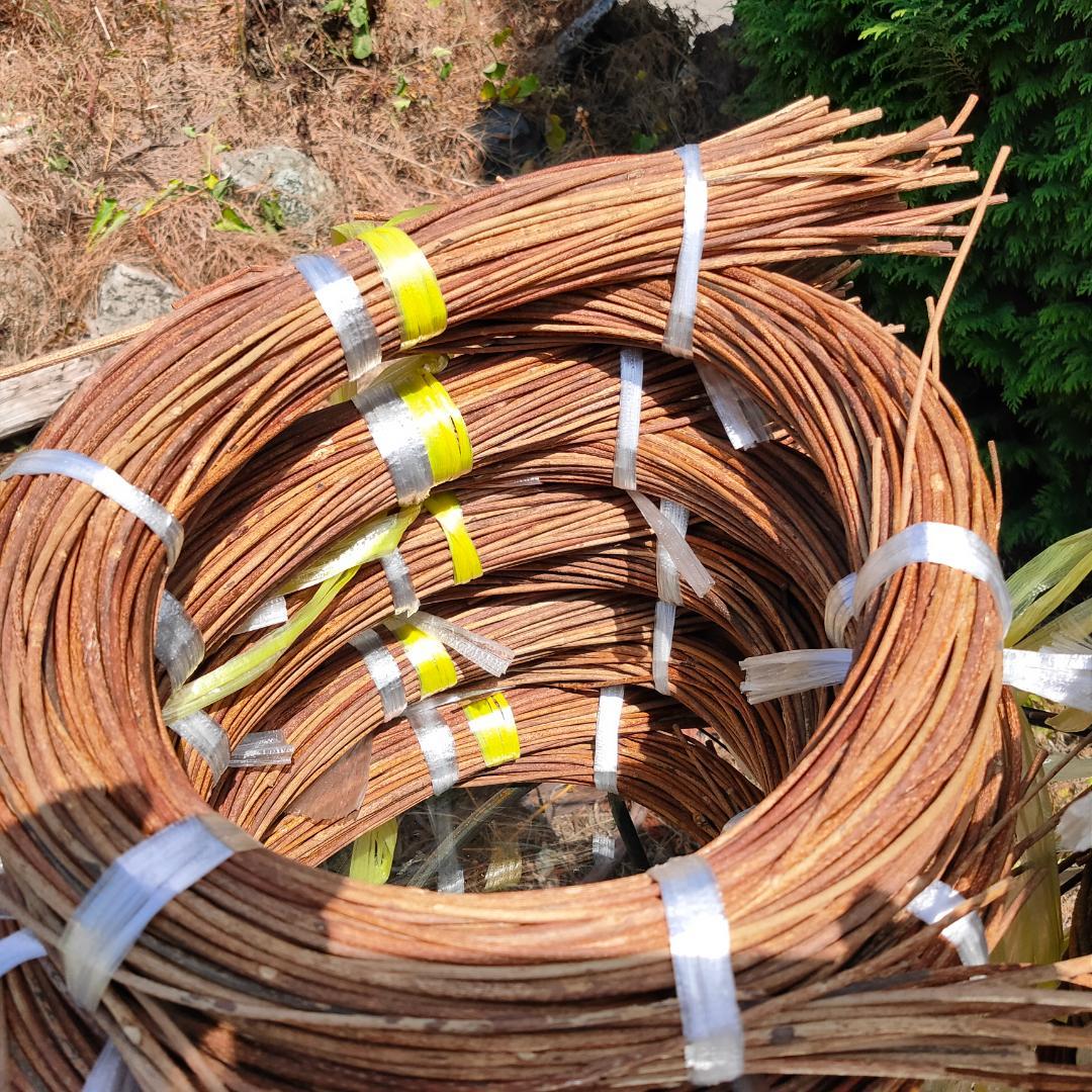 hkeplk　青森県岩木山採取　あけび蔓　70cm～150cm　5kg