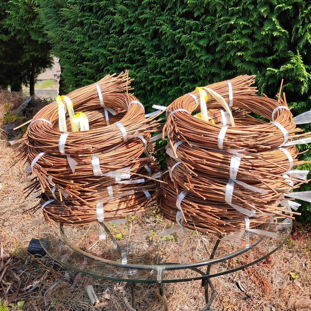 hkeplk　青森県岩木山採取　あけび蔓　70cm～150cm　5kg