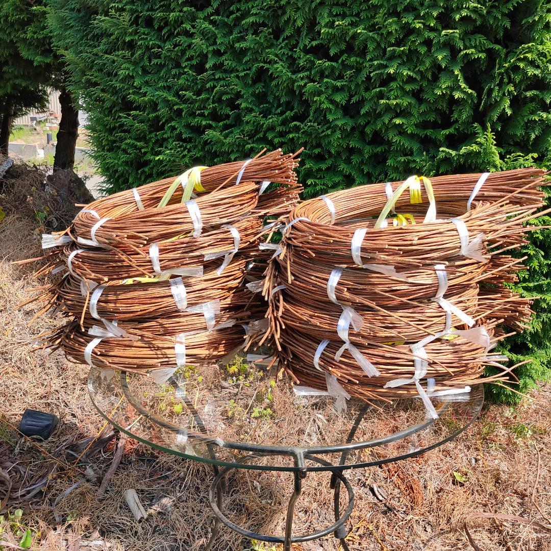 hkeplk　青森県岩木山採取　あけび蔓　70cm～150cm　5kg
