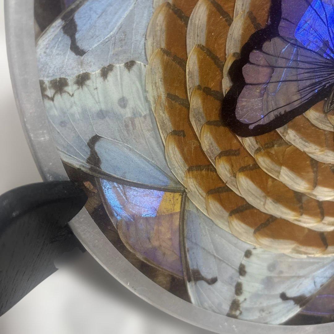 モルフォ蝶の標本/ブラジル伝統工芸品/希少/蝶羽細工 - メルカリ