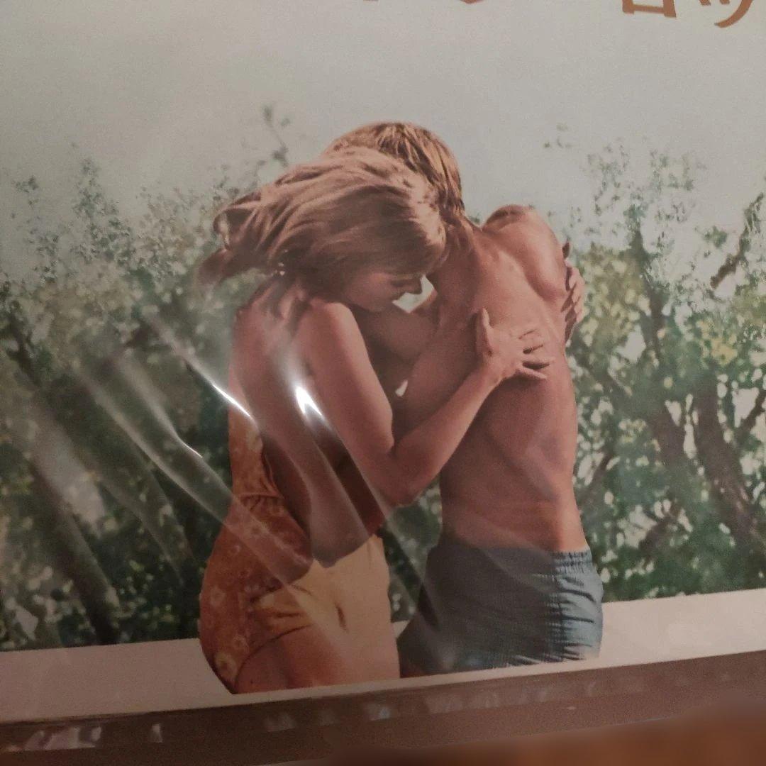 愛すれど心さびしく　日本版B2ポスター