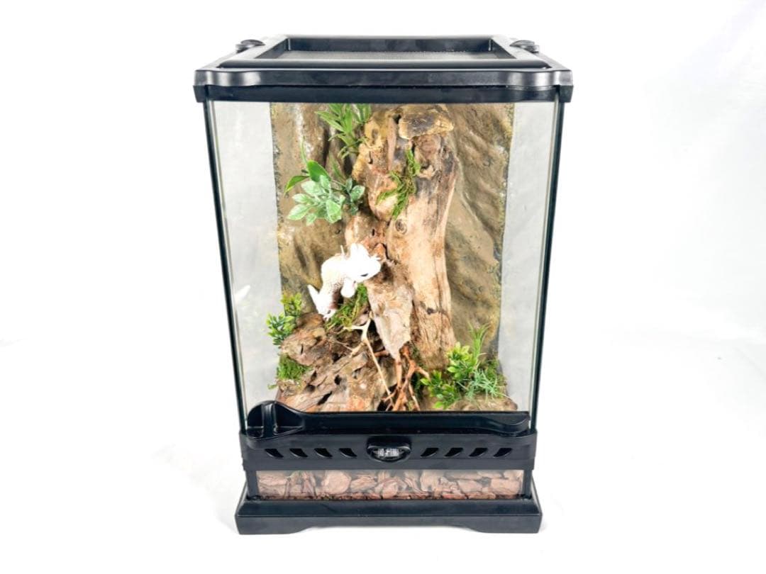 爬虫類ケージ(レイアウト済み品)(レオパ ニシアフ)