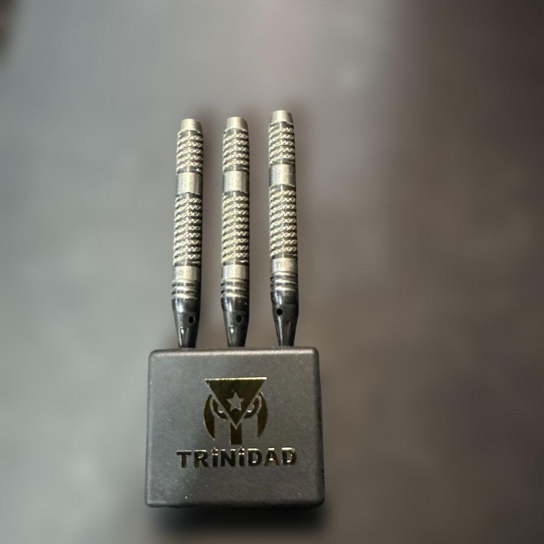 TRINIDAD RICARDO TYPE2 ダーツ エスダーツ限定