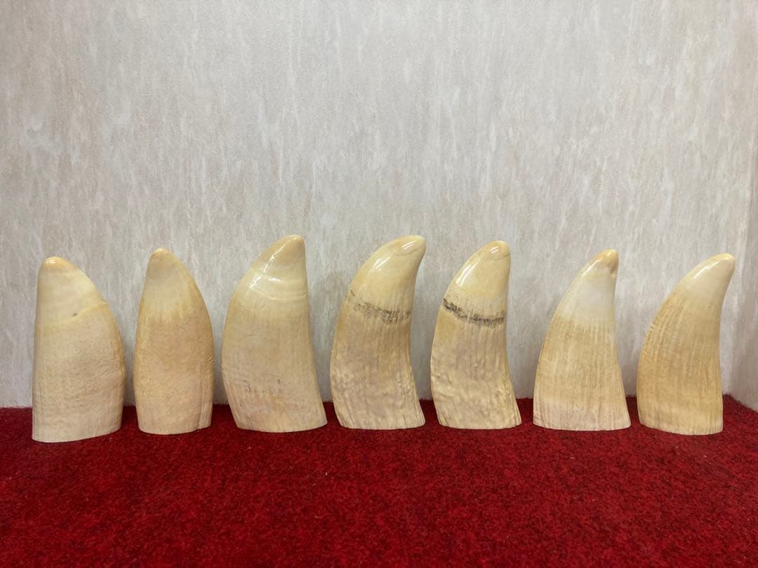 マッコウクジラの牙　七福神　玉峰作　ケース付き