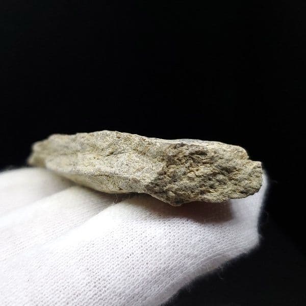 ティラノサウルス 化石 骨 本物 アメリカ産 54.80mm tb87