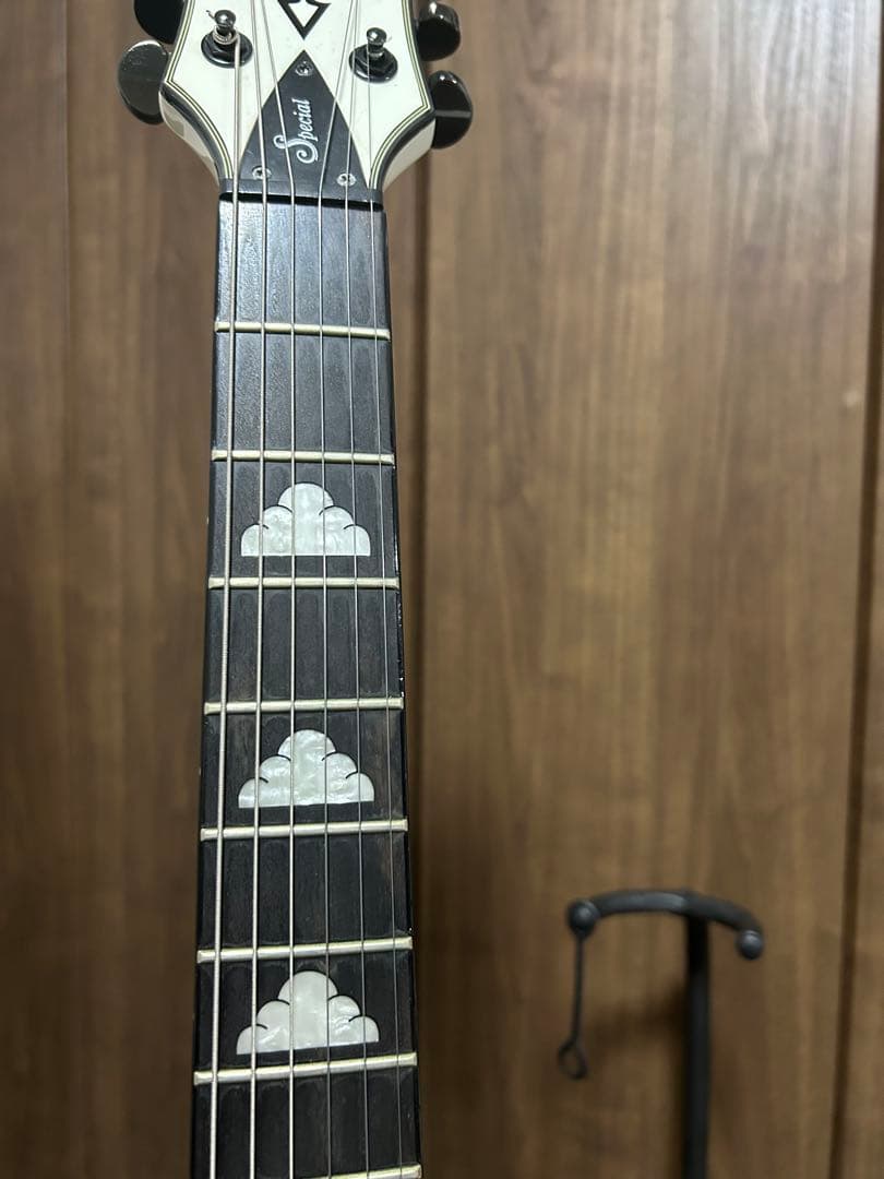 B.C. Rich モッキンバードSpecial