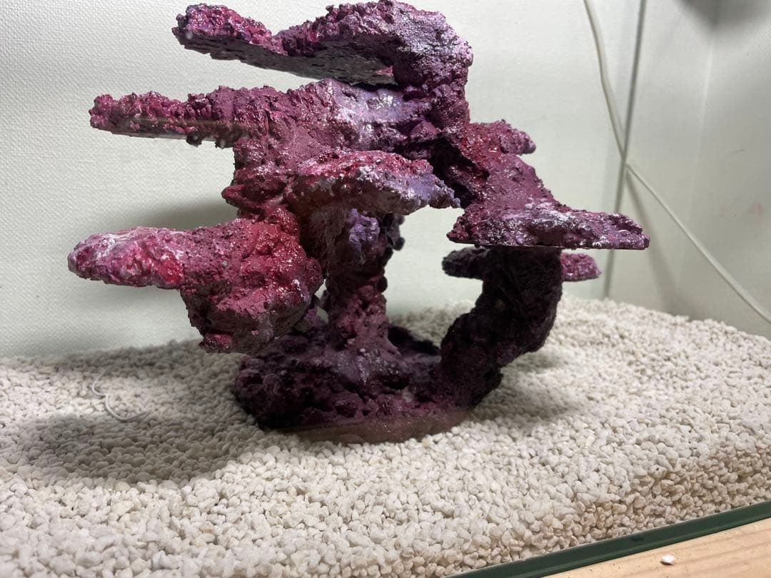 人工ライブロック SHR24 アク抜き済み安心塗料使用