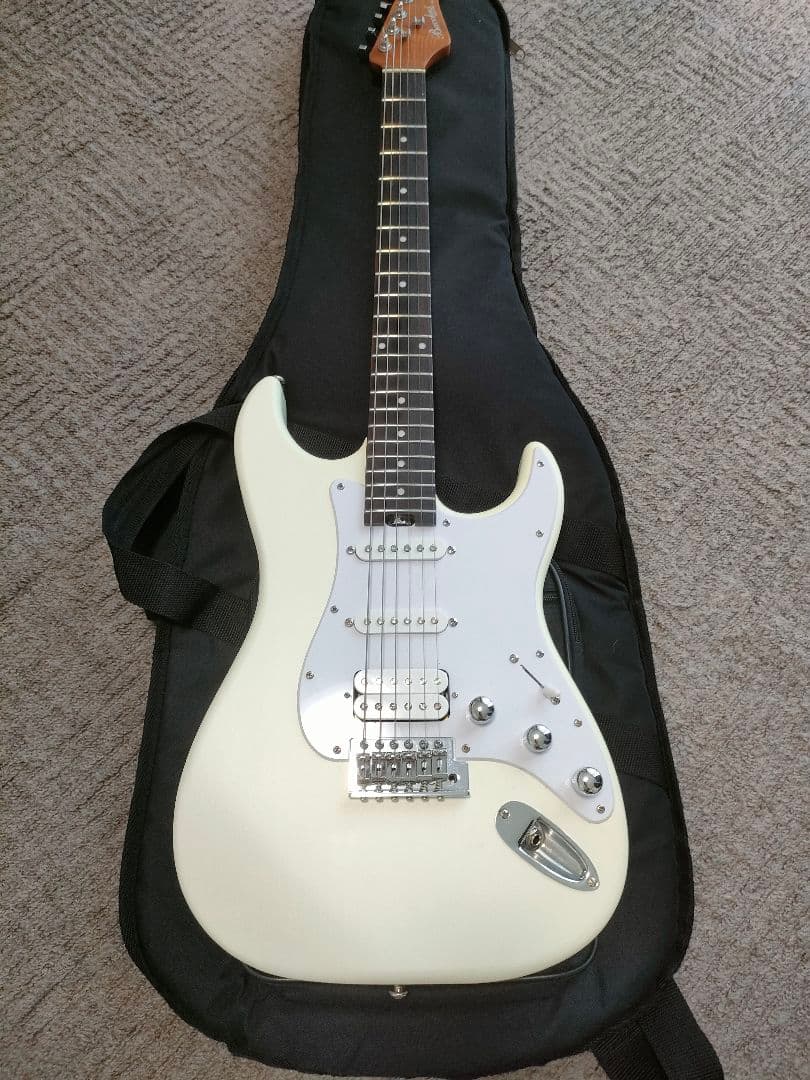 Bacchus SGS-ASH RSM フレット90%以上 グローバルシリーズ - メルカリ