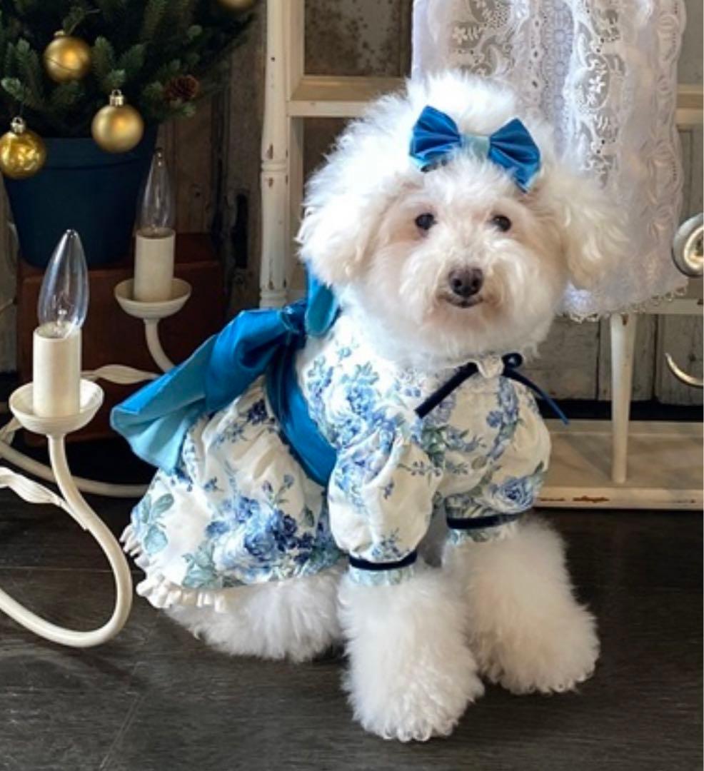 希少 as know as de wan (2サイズ) ロイヤルフラワーOP L108106483