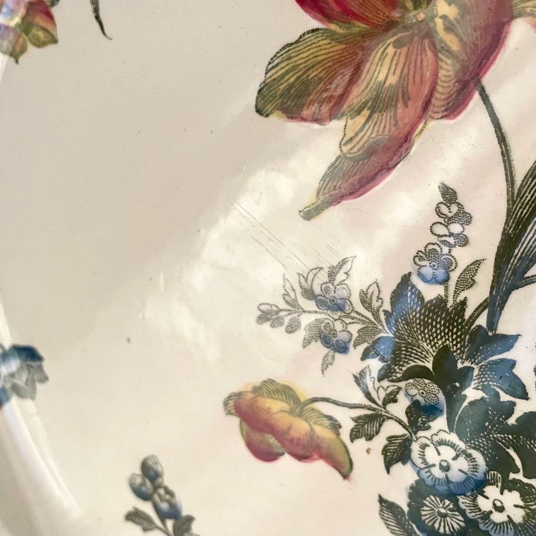 レア】サルグミンヌ フォンタンジュ多色プレートポリクロームフランス