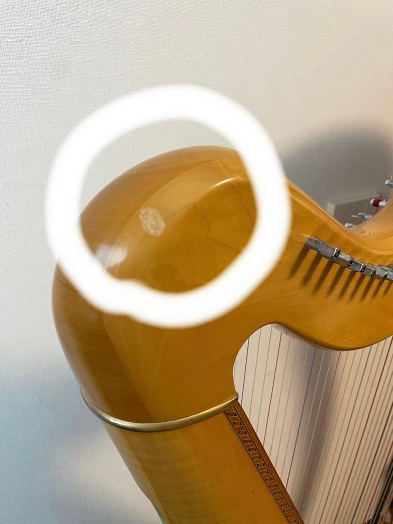 弦楽器 Aoyama Harp The 130N