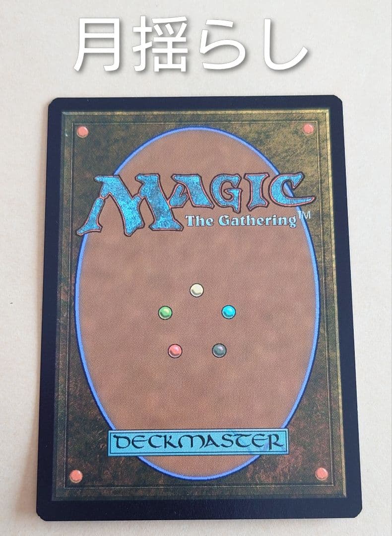 月揺らしの騎兵隊/Moonshaker Cavalry ストアチャンピオンシップ