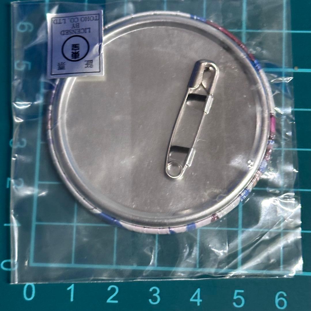 ウマ娘 トウカイテイオー アイキャッチ 缶バッジ ゲーマーズ