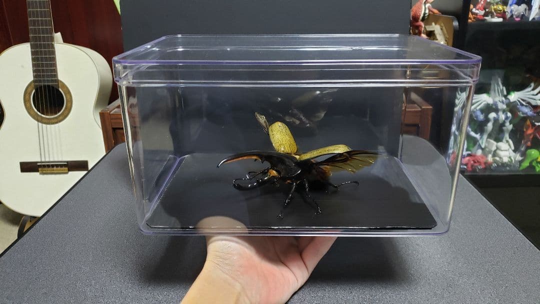 ケムンパス出品 立体標本3点