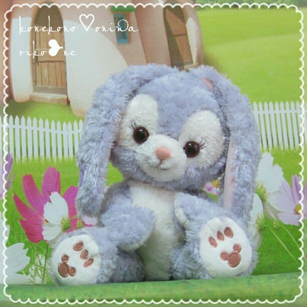 PuPuPu様♡確認page☆ステラ・ルー