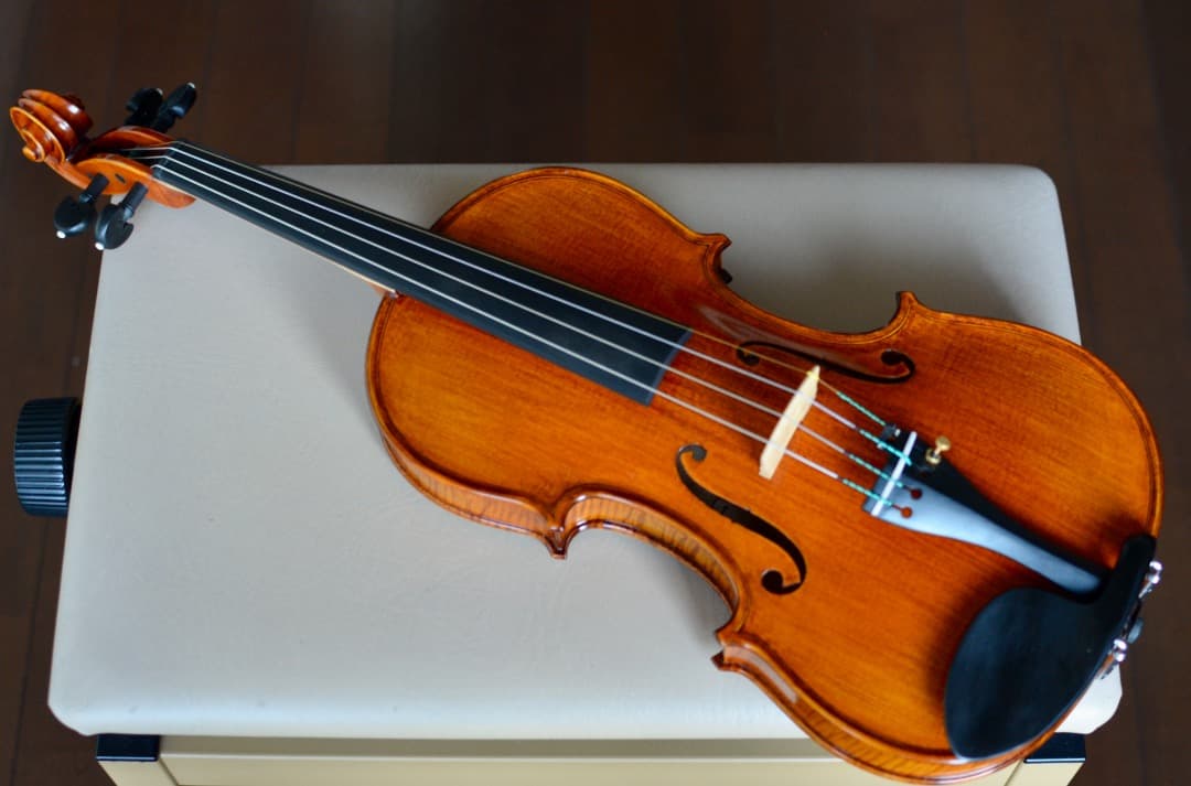 【最上位 新品】Gliga Vasile Maestro バイオリン 4/4