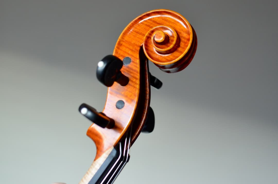 【最上位 新品】Gliga Vasile Maestro バイオリン 4/4