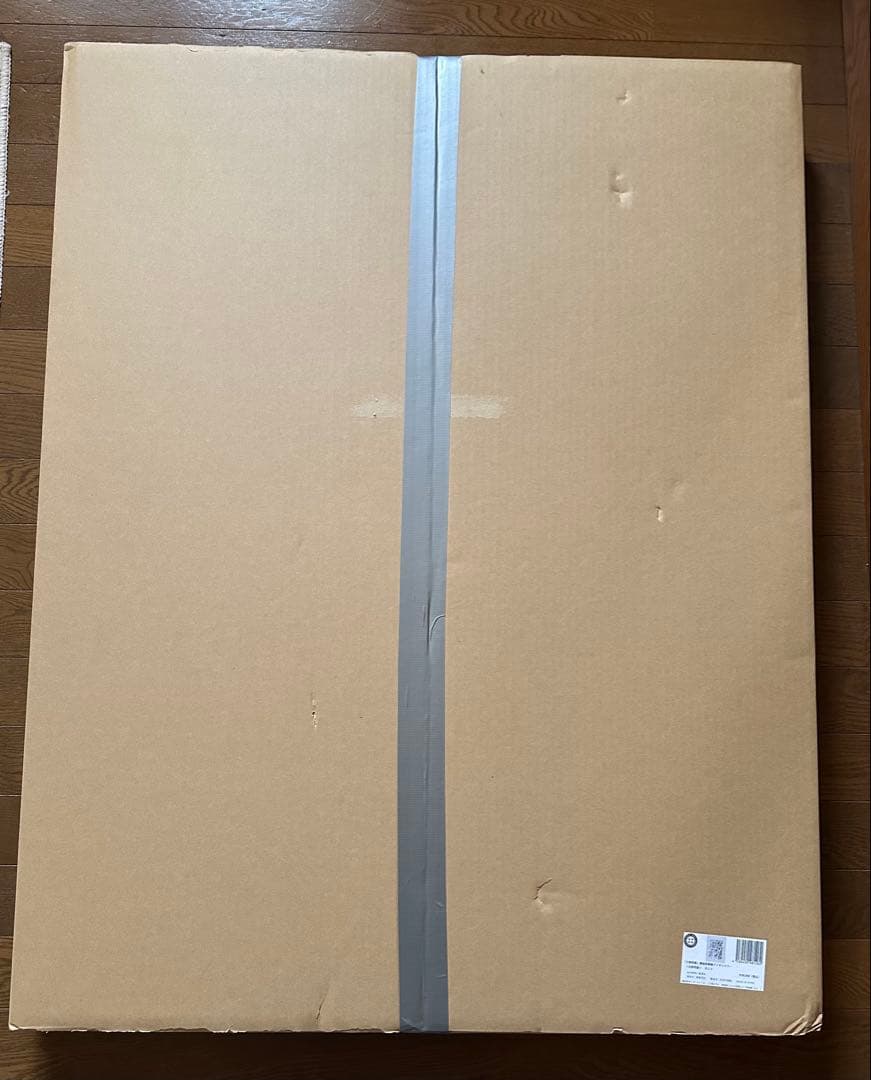 家庭教師ヒットマンREBORN 額装高精細デジタルカラー 天野明展