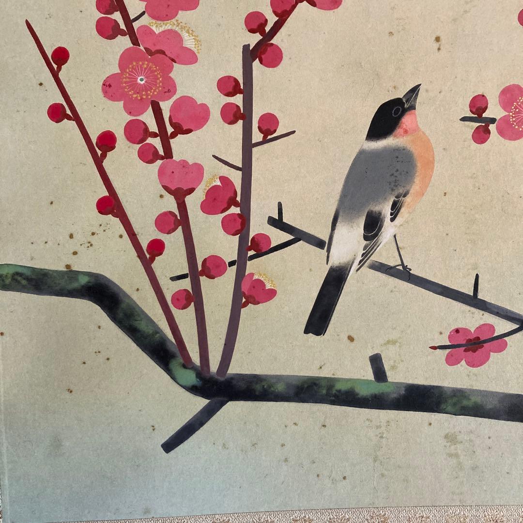 金島桂華「梅」38.4×45cm 2重箱　箱書き　紙本採色　豪華軸装　芸術院会員