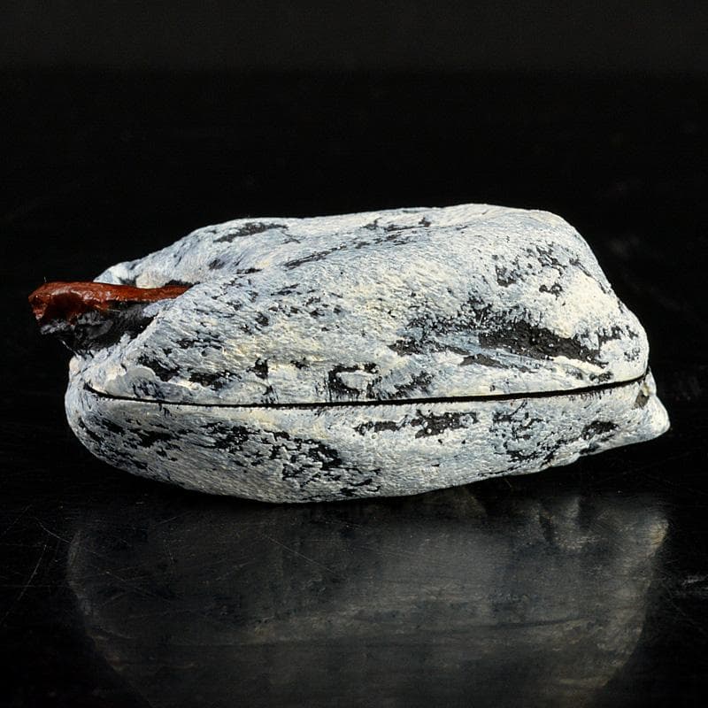 茶道具　乾漆　干柿　香合　時代箱　V　6223