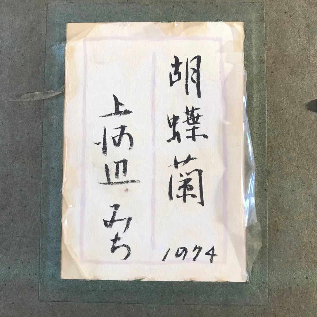 上河辺みち 油彩 「胡蝶蘭」額装 共シール 絵本挿絵画家 1974年 油絵 D