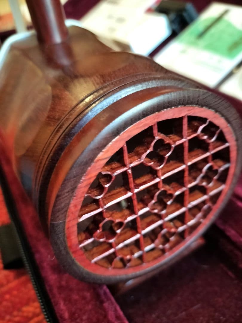 付属品充実！二胡本体と一式 ケース・教本DVD付き