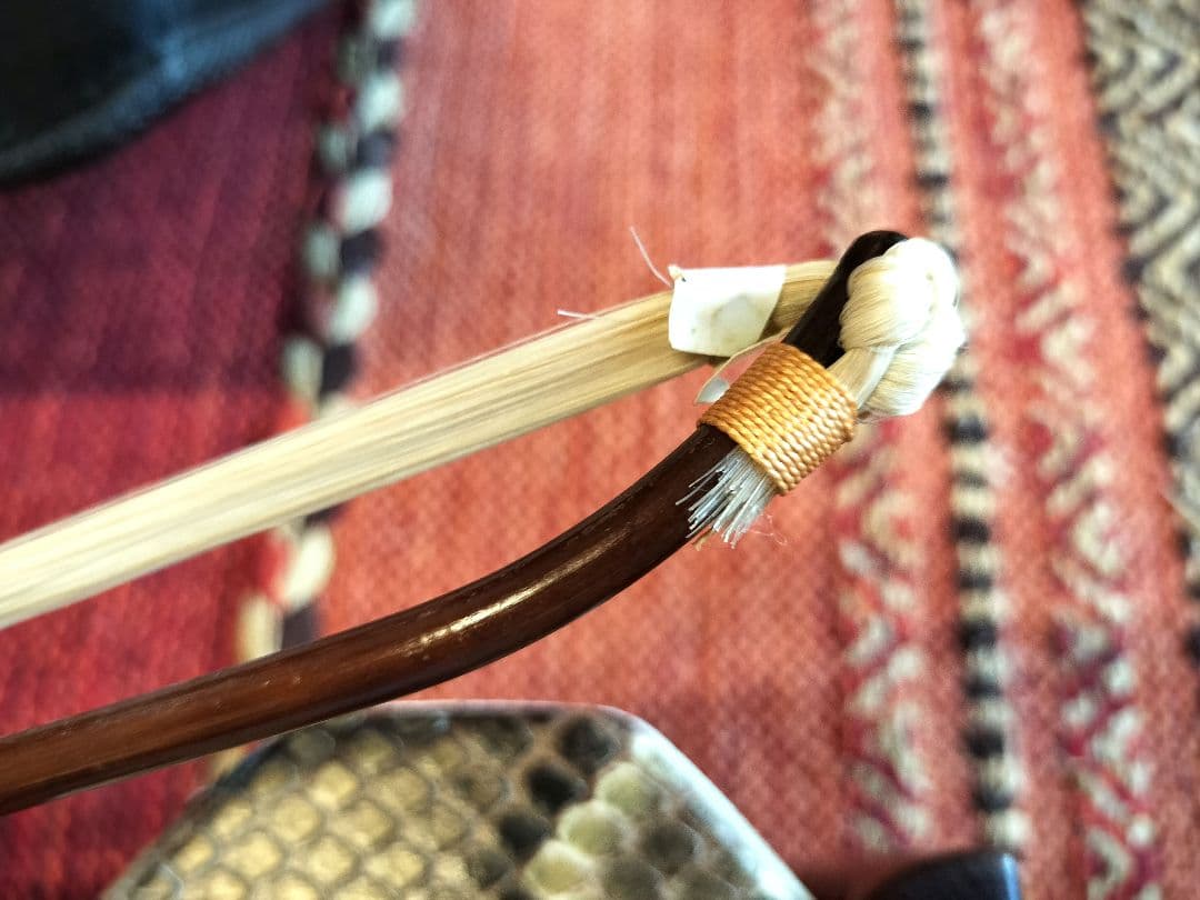 付属品充実！二胡本体と一式 ケース・教本DVD付き