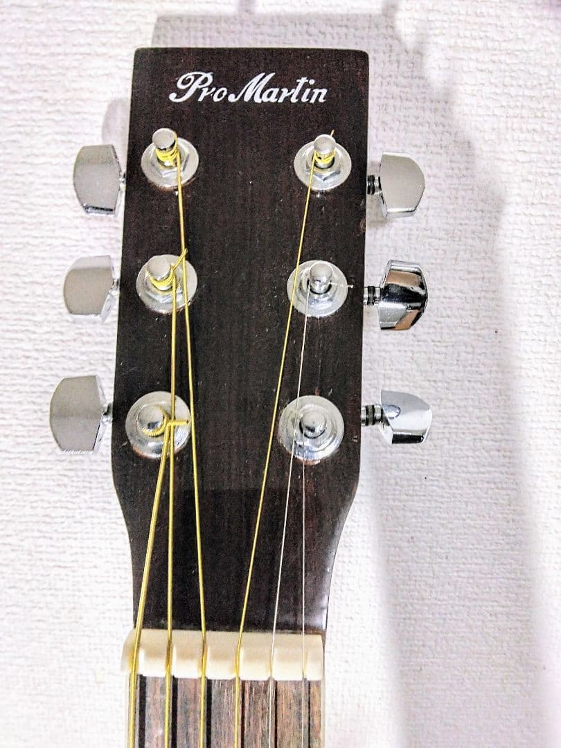 Pro Martin アコースティックギターW180 TS