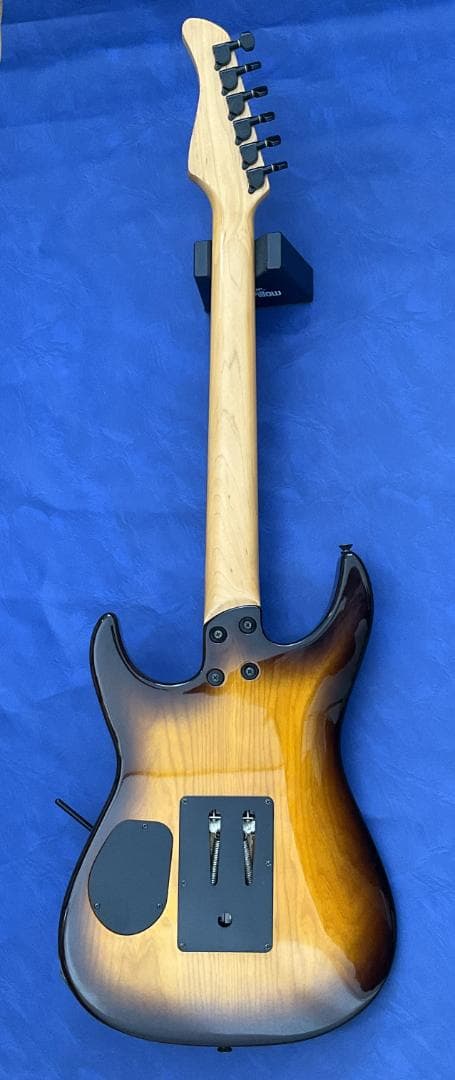 レア仕様】Fernandes FR ブラウンバースト【特殊トレモロ】 - メルカリ