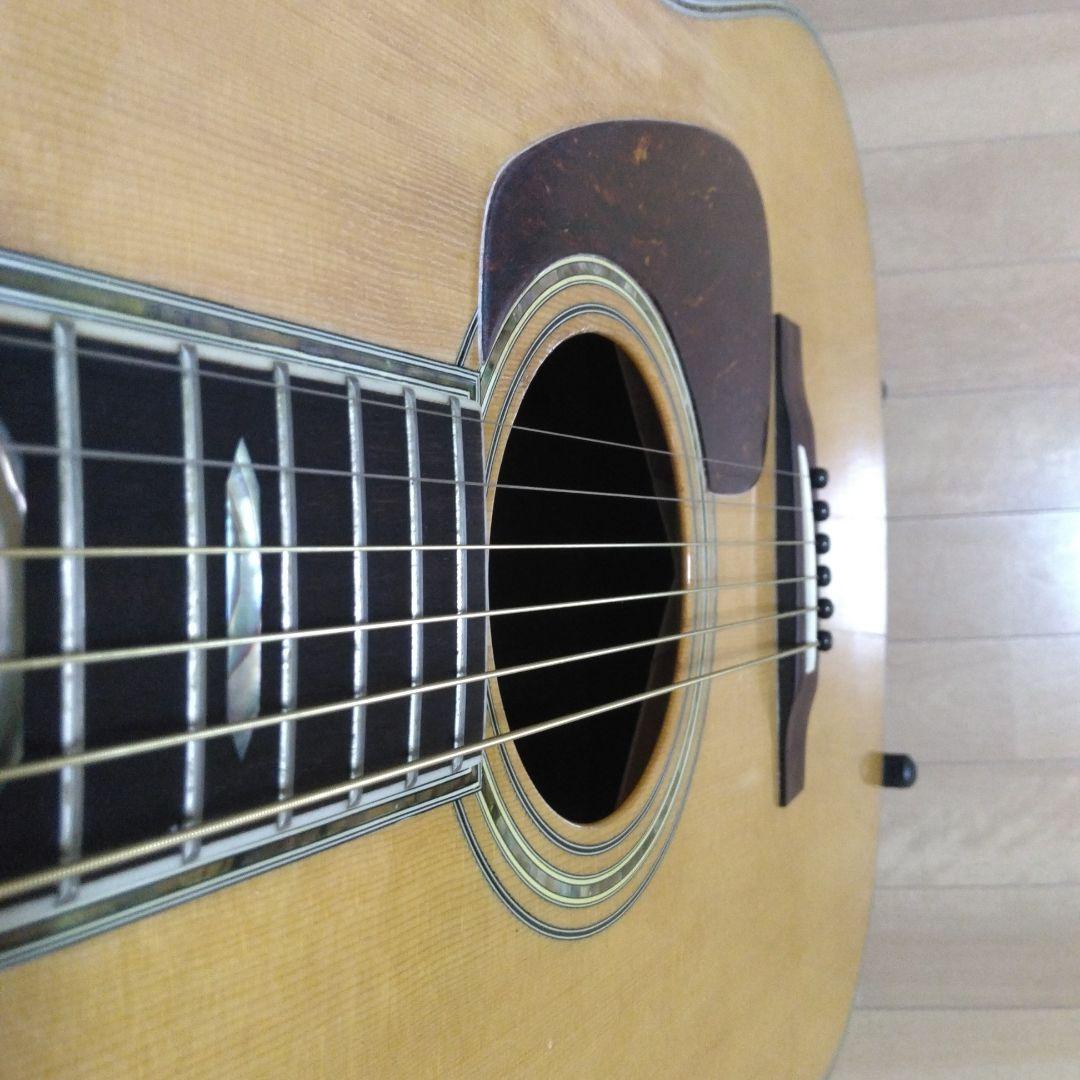 Morris モーリス TF-100 アコースティックギター