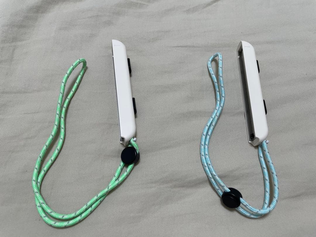 Nintendo Switch あつまれ どうぶつの森セット キャリングケース付