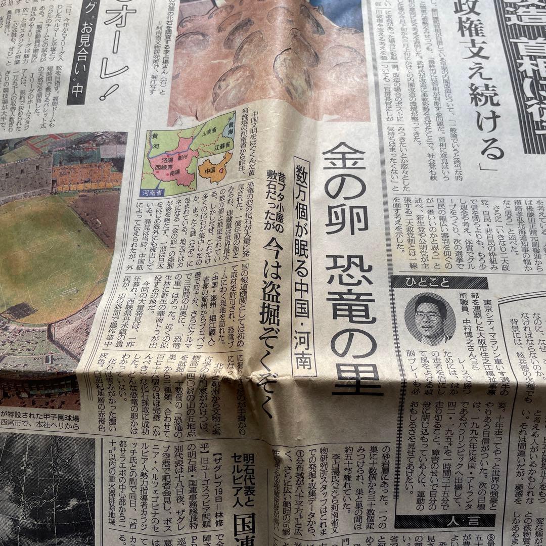 恐竜　化石　卵　たまご　1994年　中国