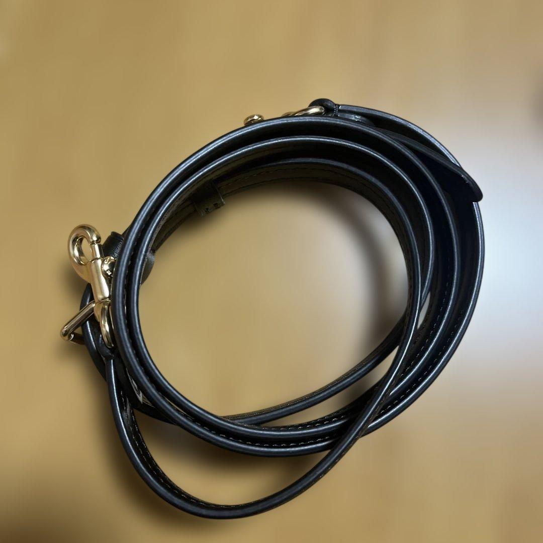 新品COACH ミニハンドバッグ　ブラウン シグネチャー　ショルダーバッグ　福袋