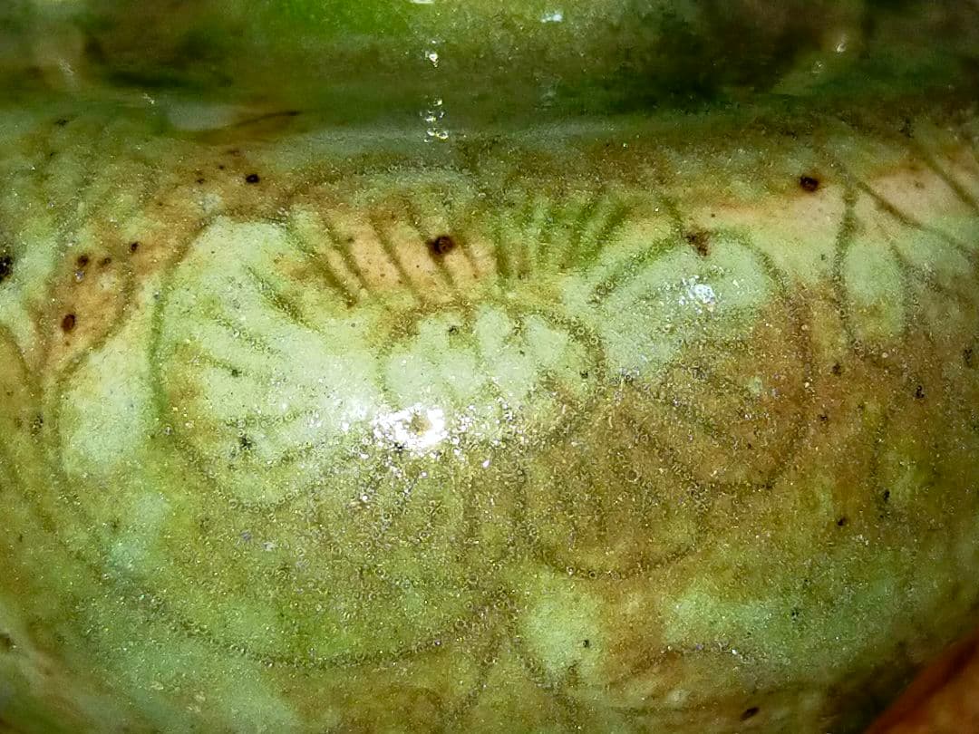 ♥双耳　青磁　小壺　高６４ｍｍ　花文　壺　壷　骨董　古玩