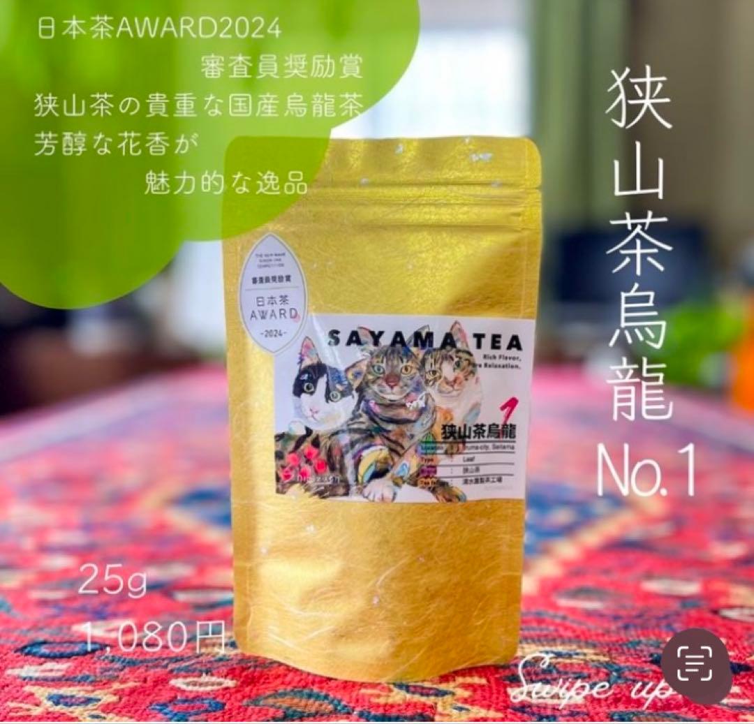 【Queen.J】キャンバスF12号　猫　ねこ　メインクーン　BAEZ3