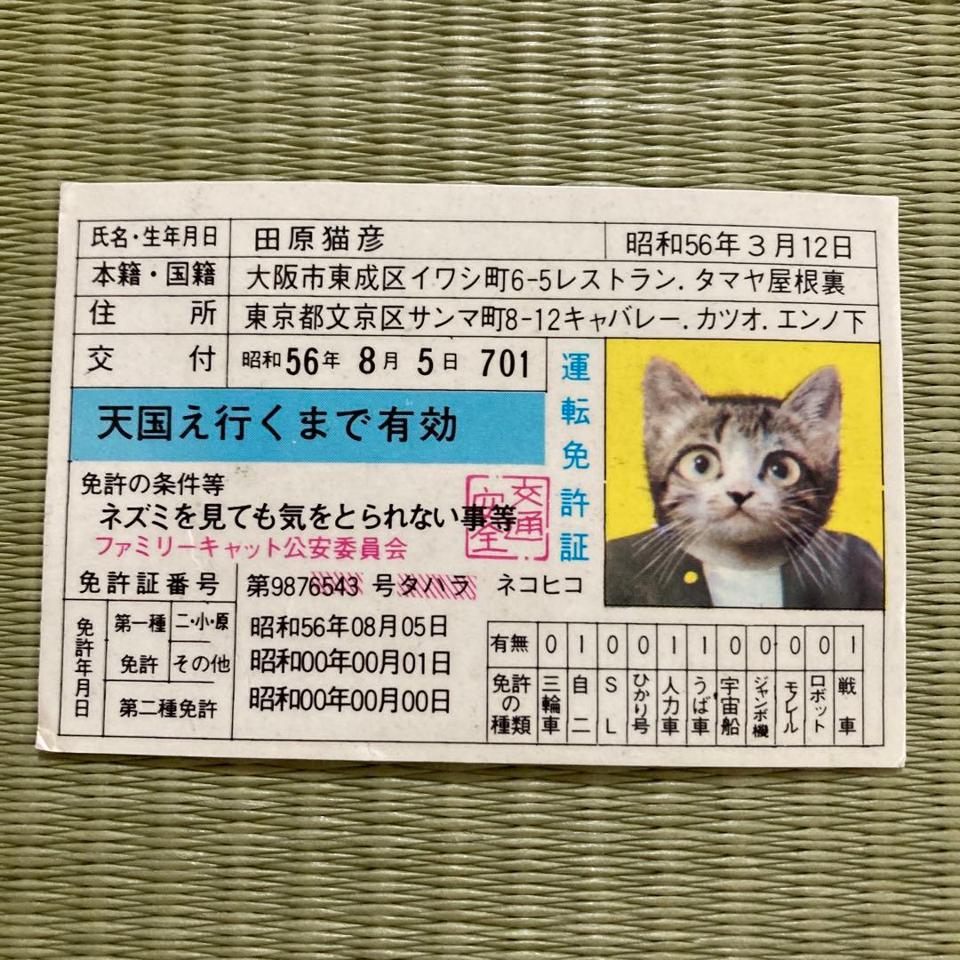 懐かしい　レア物　「なめんなよ」カードケース　カード３枚