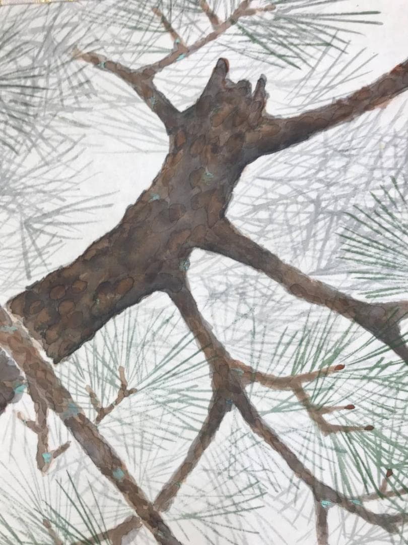 真作/松歳/八幡鳩図/松に鳩図/鳥図/八幡神社/八幡