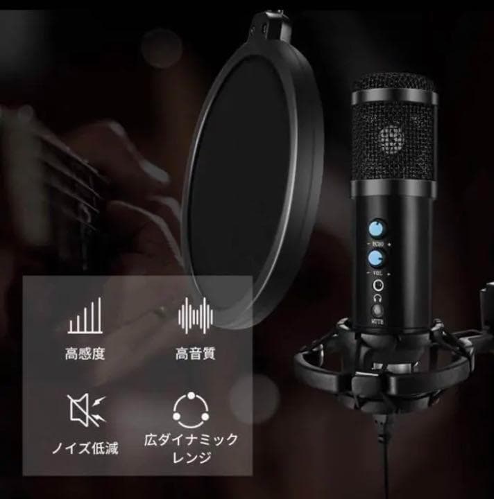 プロ収録を自宅で❣エコー調整自由自在♪❤プロフェッショナルコンデンサーマイク