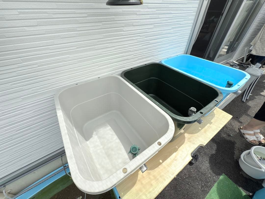 ☆お買い得☆たらい36L(4個)メダカ飼育容器オーバーフロー トロ舟プラ