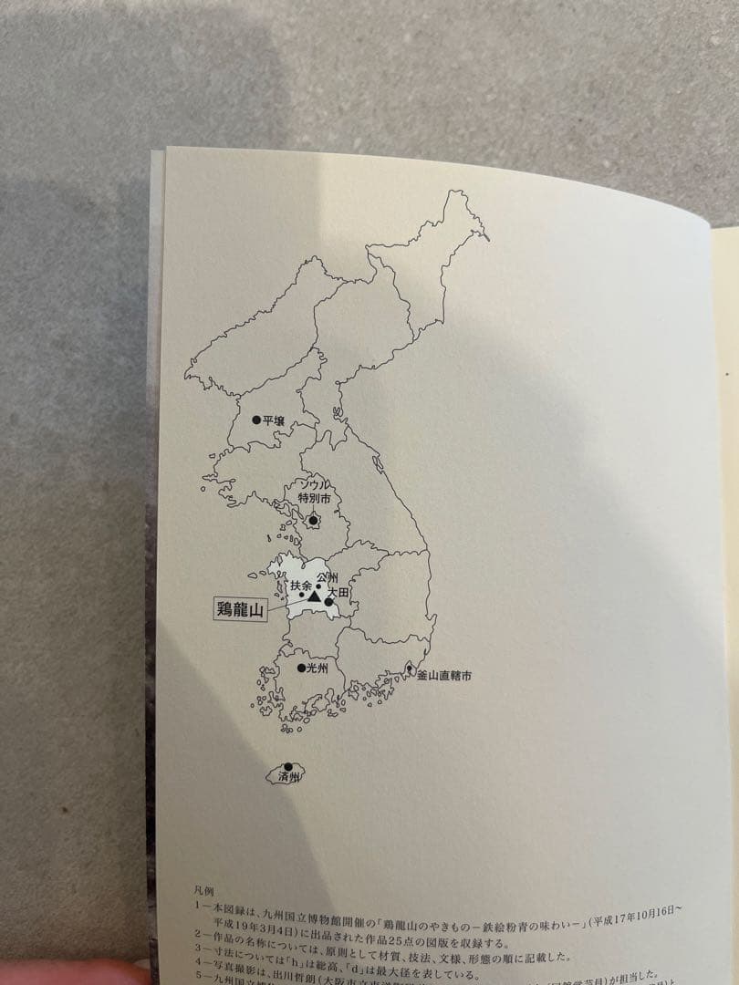 【外商購入】鶏龍山 鉄絵粉青 魚文 扁壺（図録付き）